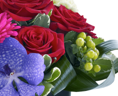 Rose, Gerbera and Vanda Orchid Arrangement 02