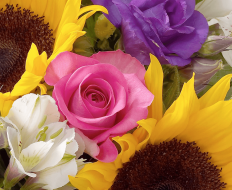 Sunflower Hand tied 02 Sunflower Hand tied 02