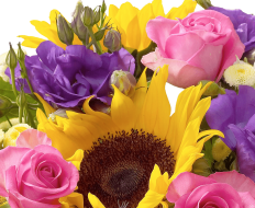 Sunflower Hand tied 03 Sunflower Hand tied 03