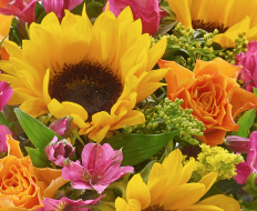 Sunflower Hand tied 05 Sunflower Hand tied 05