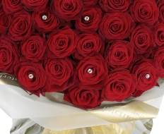 Ultimate 100 Grand Prix Rose Hand tied 03 Ultimate 100 Grand Prix Rose Hand tied 03