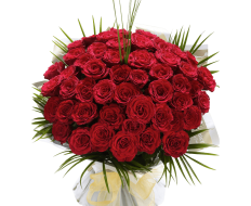 Ultimate 100 Grand Prix Rose Hand tied 04 Ultimate 100 Grand Prix Rose Hand tied 04