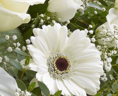White Radiance Hand tied 02 copy White Radiance Hand tied 02 copy