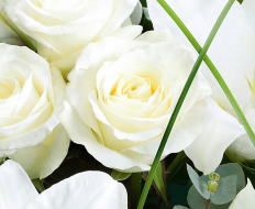 White Radiance Hand tied 06 White Radiance Hand tied 06