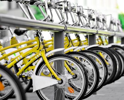 Fathers, Sons, and Bike Parks