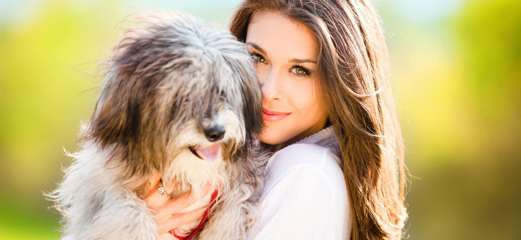 Five Reason to Procure a Puppy