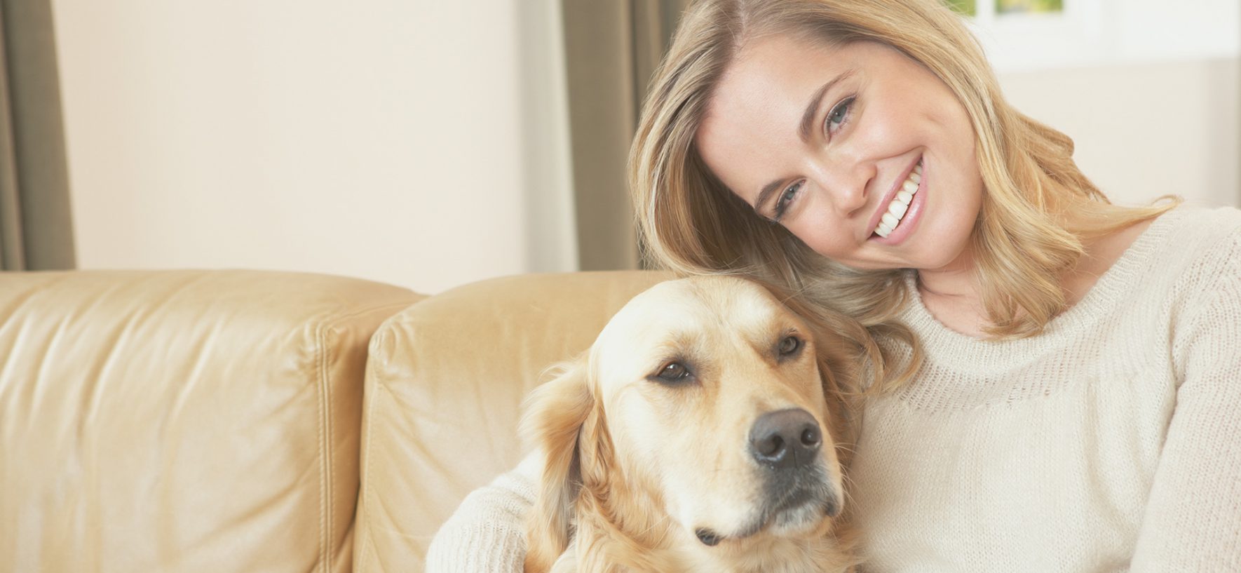 Easy Tricks to Teach Your Dog