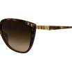 D G Dd8096 Sunglasses 502 Havana Brown Gradient Lens 1 D G Dd8096 Sunglasses 502 Havana Brown Gradient Lens 1