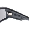 Dragon Alliance Matte Black Silver Ion Domo Sunglasses 2
