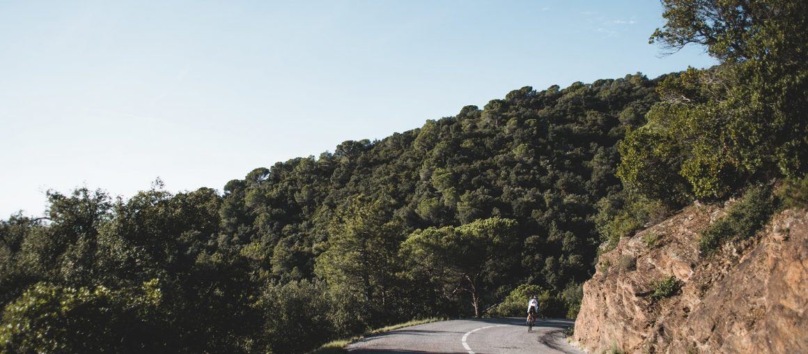 Bearings Bike Shop 2015 Annual Report