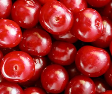 What's New: Pumpkin Spice Bites, Vegan Vitamins and More