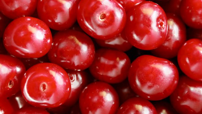 What's New: Pumpkin Spice Bites, Vegan Vitamins and More