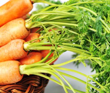 6 After-School Snacks the Kiddos Will Love