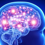 How Many Short Term Memories Can Your Brain Remember?