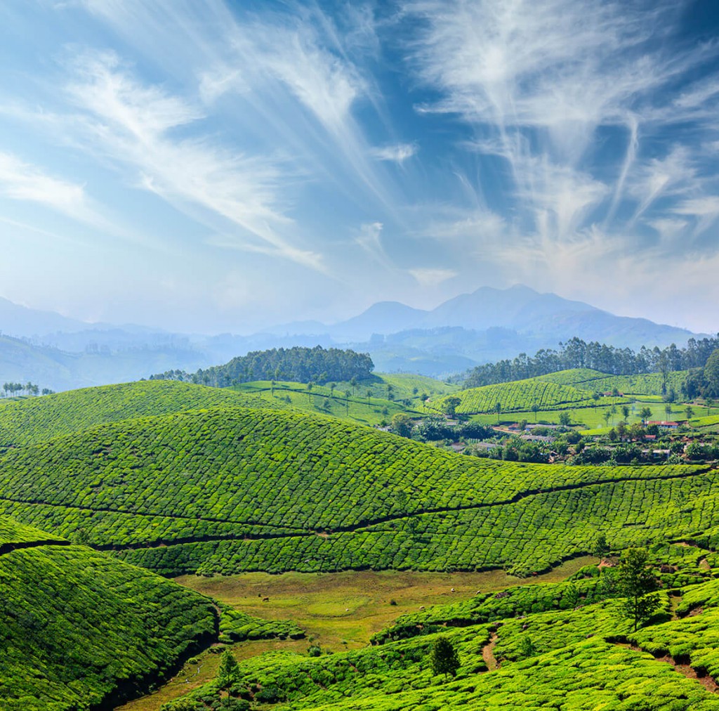 Depositphotos_25476223_original