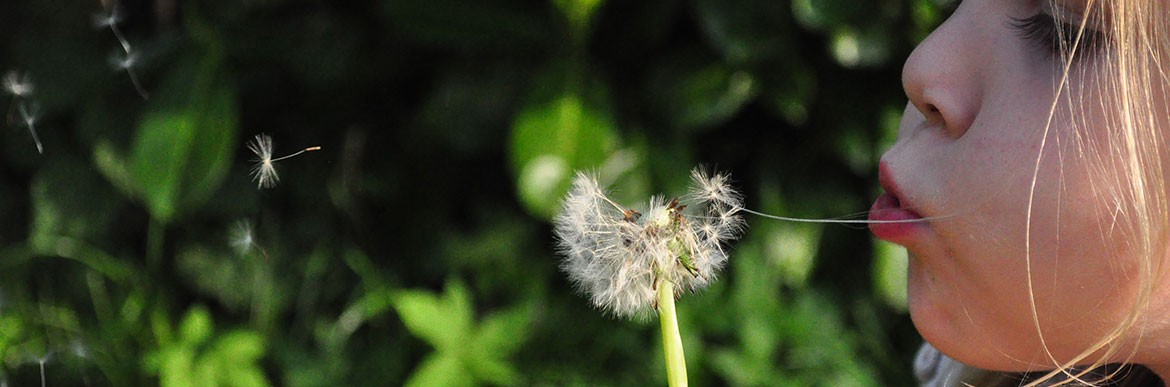 blog_03