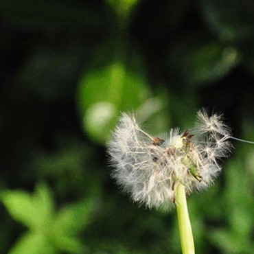 blog_03