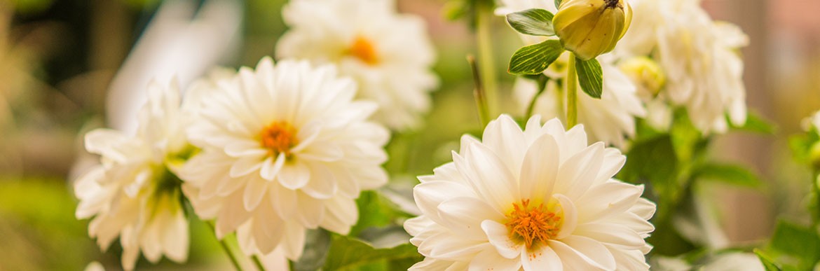 blog_06