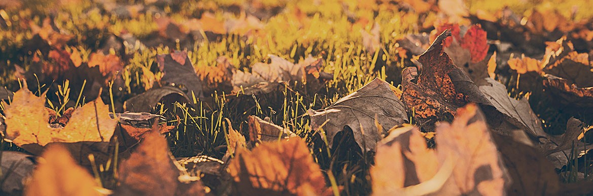 blog_09