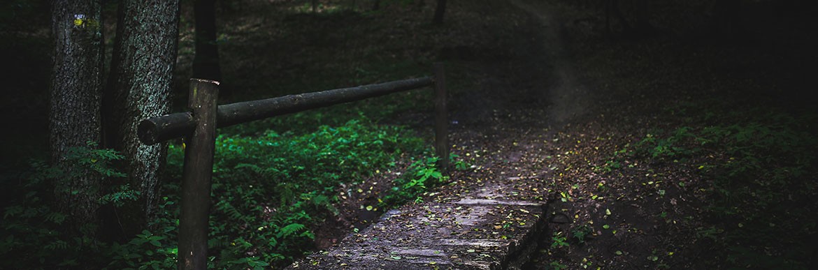 blog_15