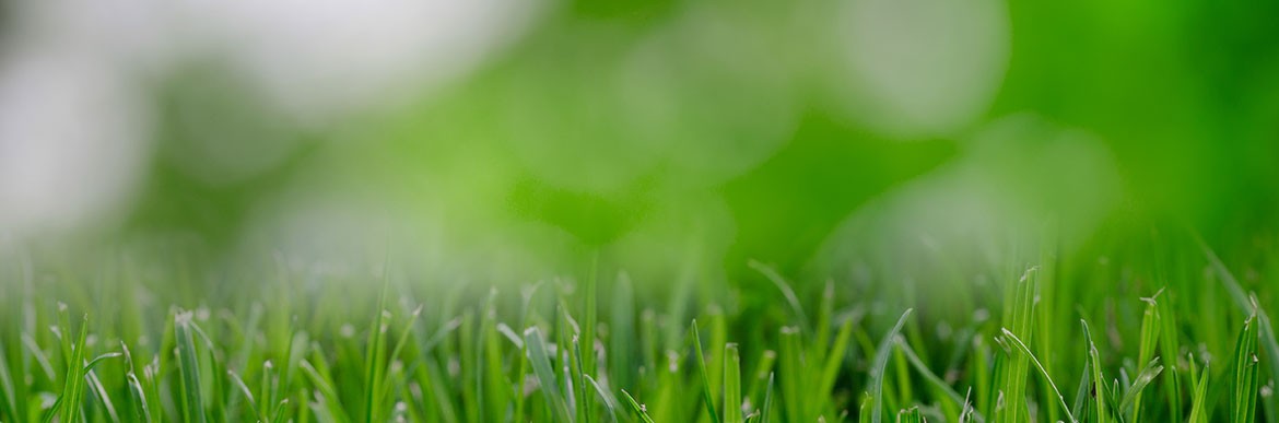 blog_17