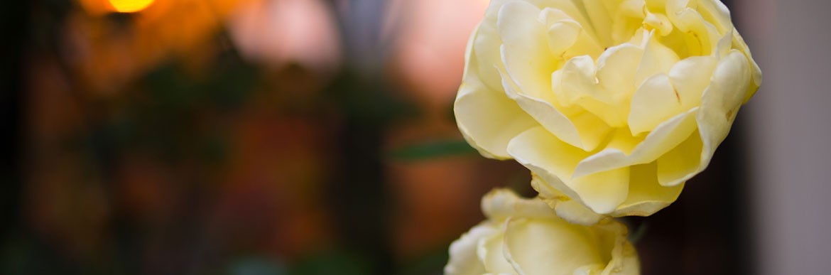 blog_19