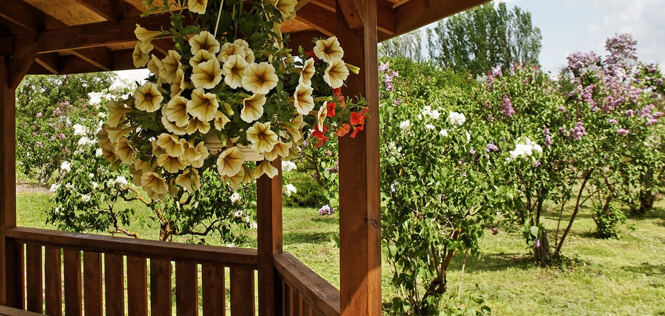 Improve the Home Appeal with Shutters
