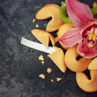 shutterstock_382402525_resize