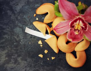 shutterstock_382402525_resize