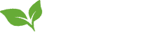 Energico