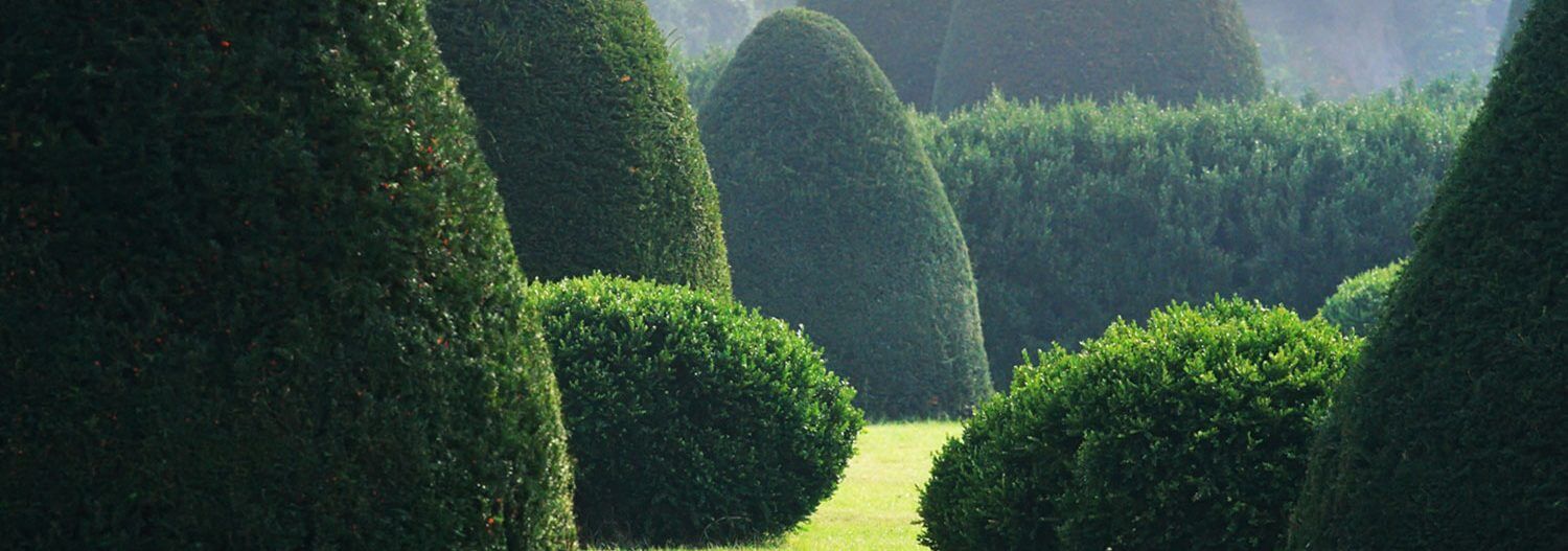 Garden Care