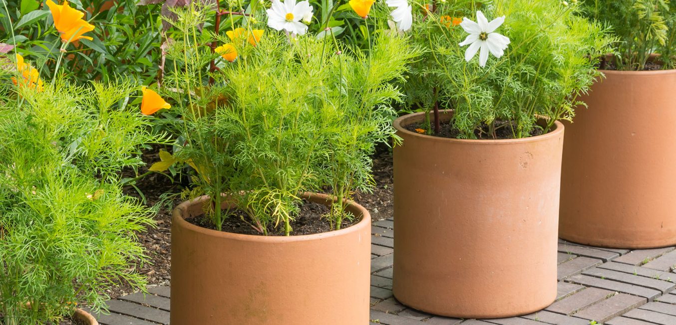 10 Expertly-Crafted Paint Schemes For Your Home Exterior