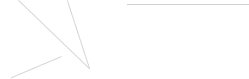 Neuton