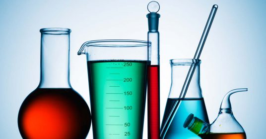 Genomes Studying Basics