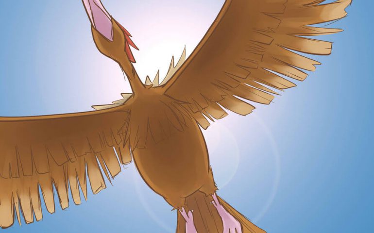 22__fearow_d5mspfm