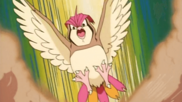 Ash_Pidgeotto