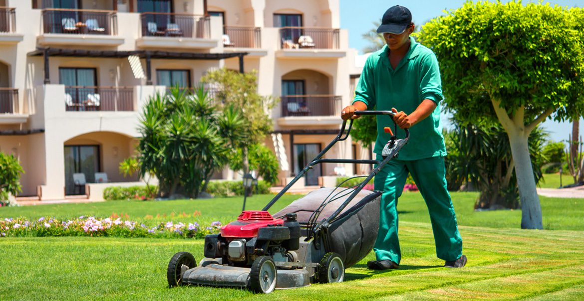 Lawn Mowing