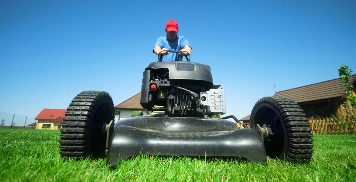 Garden Care
