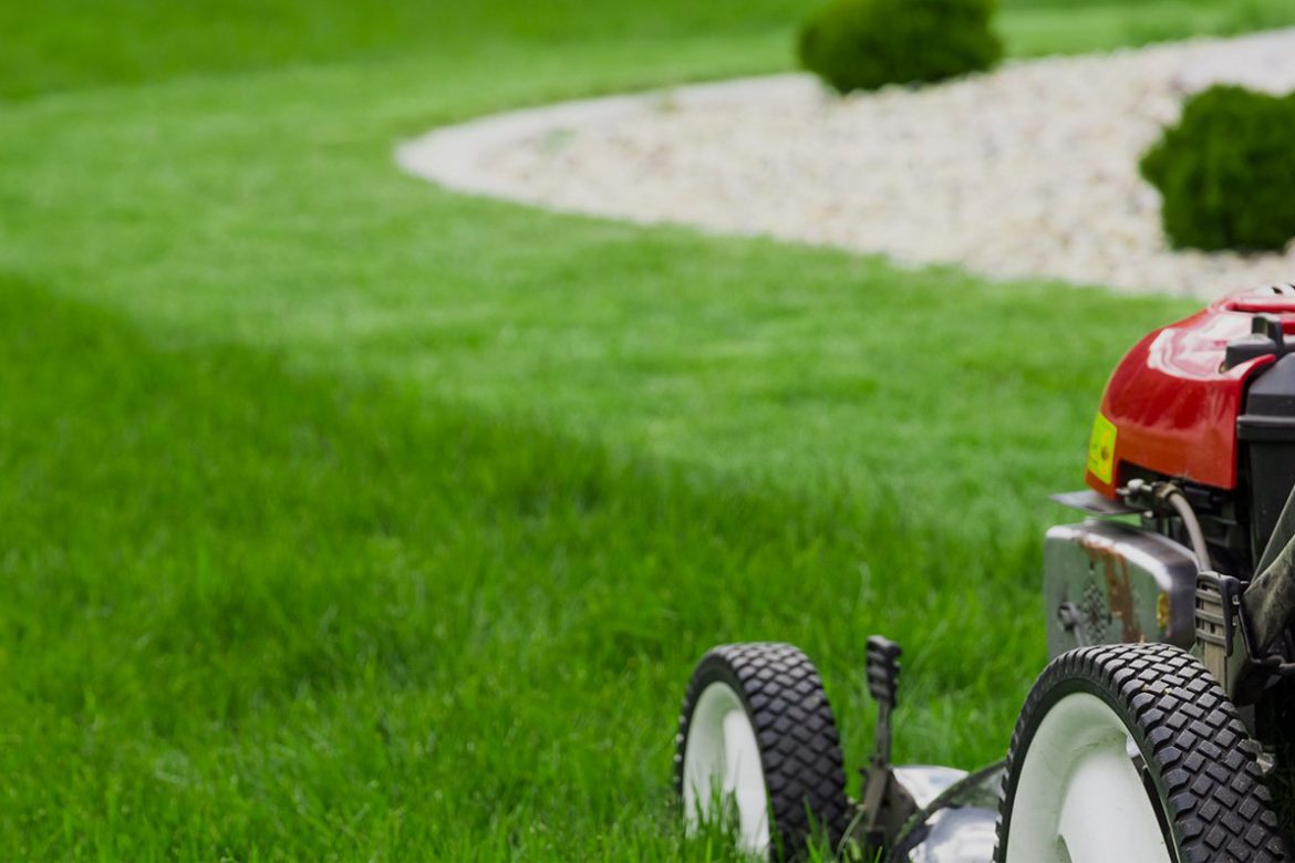Hedging & Pruning
