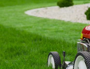 Hedging & Pruning
