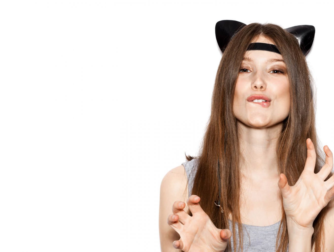 New WordPress Themes Generation.