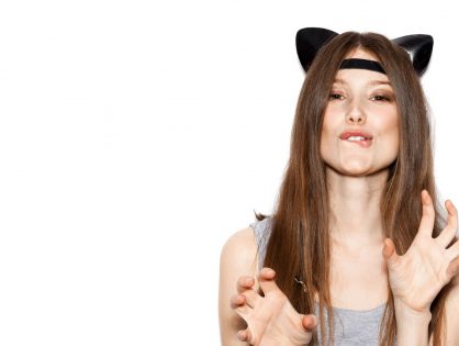 New WordPress Themes Generation.