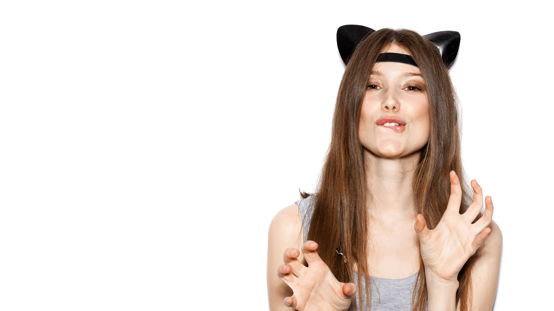 New WordPress Themes Generation.