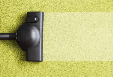 Fight off the insects at your house
