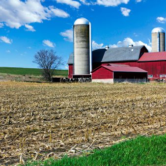 Farm