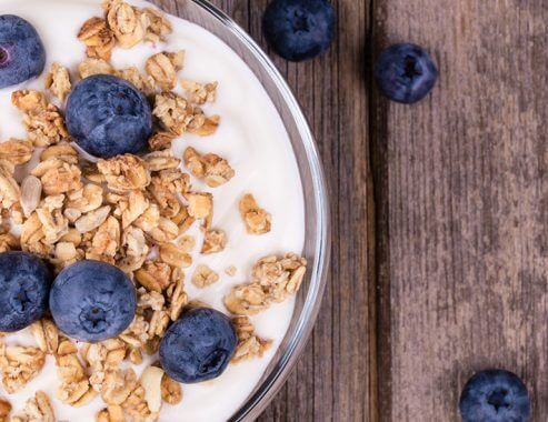 Organic Yoghurt Panna Cotta