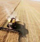 Complete Guide to the Food (CleanTech)  Industry