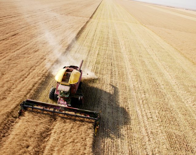 Complete Guide to the Food (CleanTech)  Industry