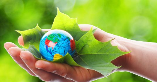 Complete Guide to the Green Technology (CleanTech) Industry