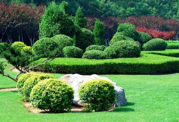 10 Landscape Ideas for Your Backyard